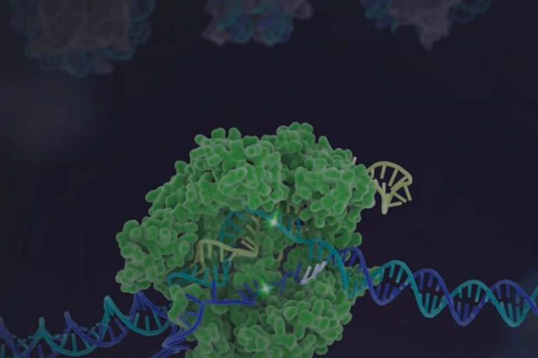 Microcope image from Functional Genomics Laboratory