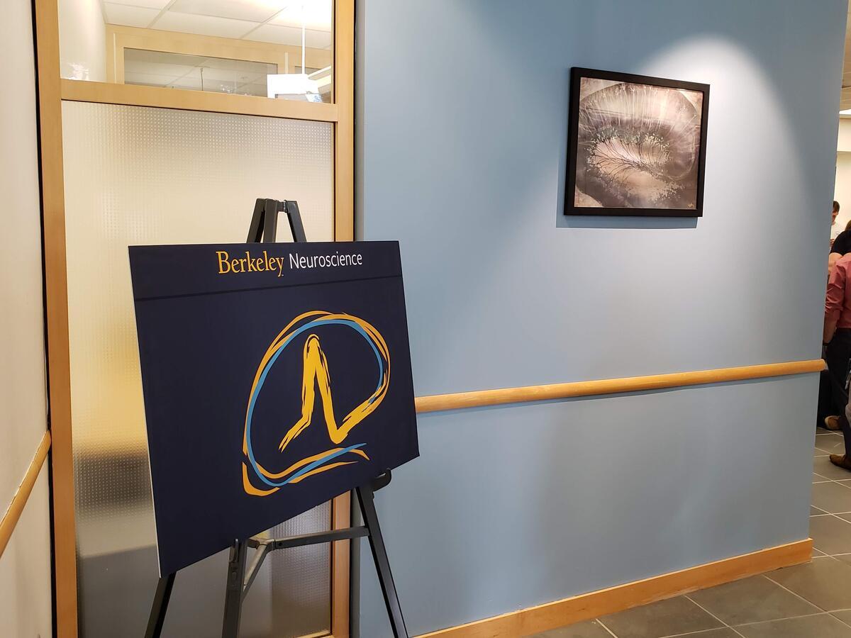 A sign on an easel that says “Berkeley Neuroscience” with a brain-shaped logo, and an art piece on the wall that looks like a brain slice.
