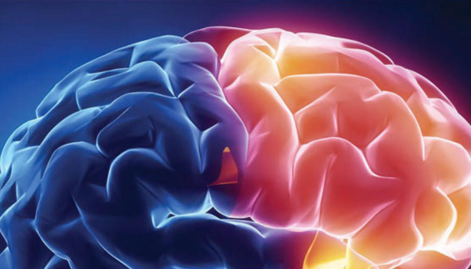 A 3D artistic rendering of the folds and grooves in the human brain, which is shown half in dark blue and half in lighter red and yellow.